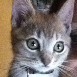 Meet your Posher, Stacy